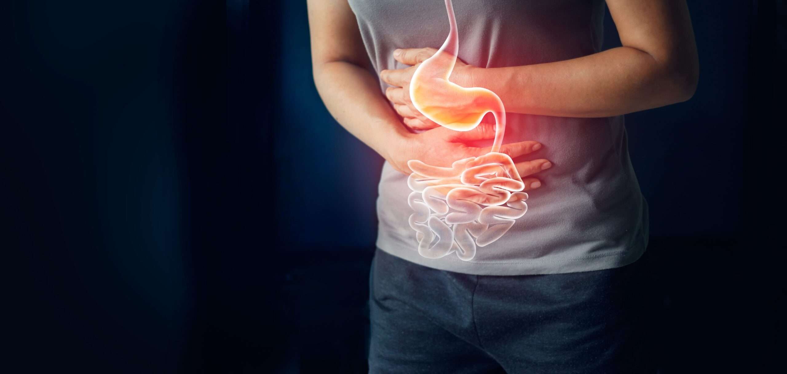 gastritis_1688030669d8JbSK.jpeg