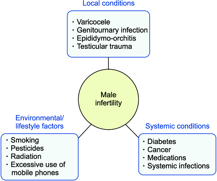 male-infer_1688187927oHCTYy.png