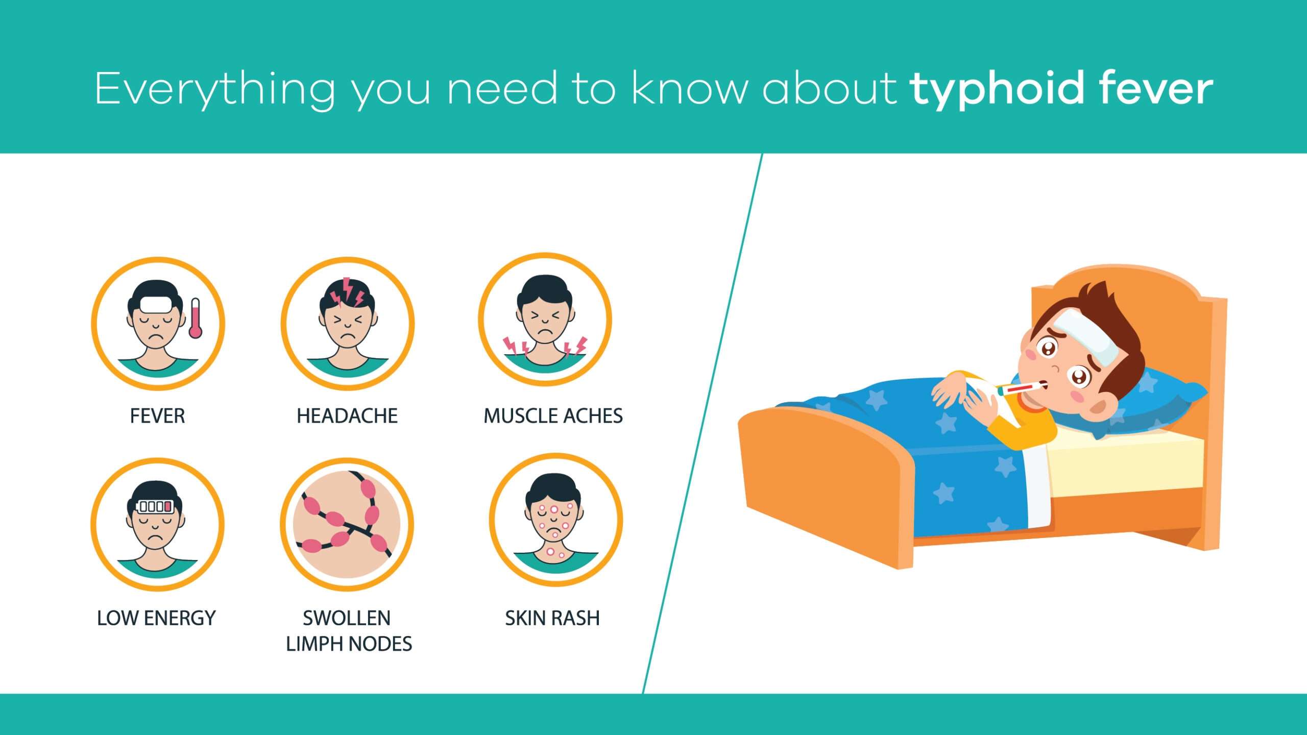 typhoid-u_1688205307ri4LPa.jpeg