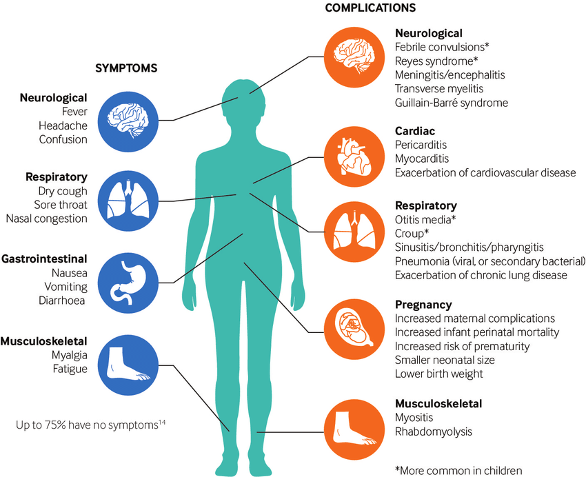 influenza_1688205591CJ4tE8.png